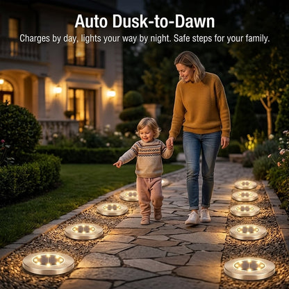 Solar Powered 8-LED Ground Lights | Outdoor Pathway Lighting