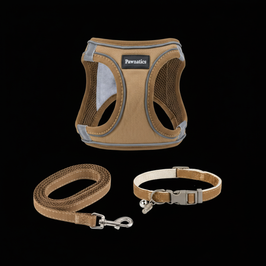 Reflective No-Pull Harness Set